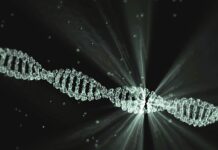 Zwykła jajecznica...