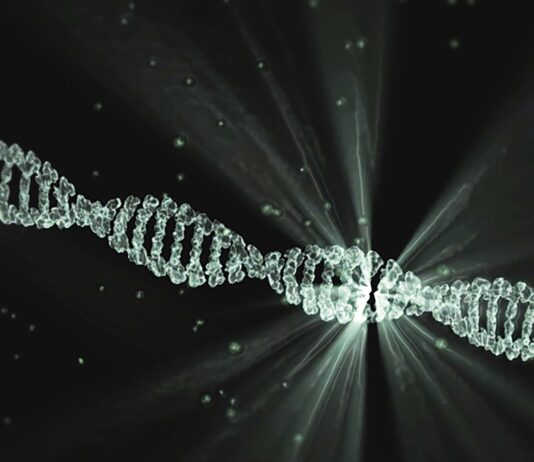 Zwykła jajecznica...