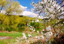 Łzy są siostrami Sanu