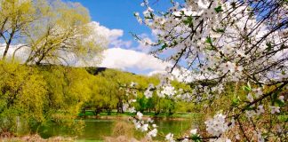 Łzy są siostrami Sanu