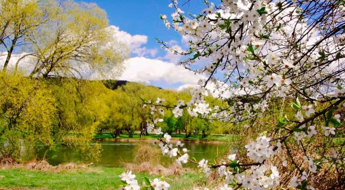 Łzy są siostrami Sanu