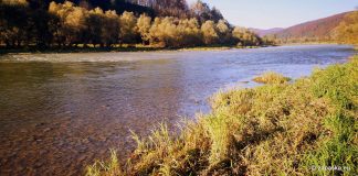 Meandry życia, meandry Sanu