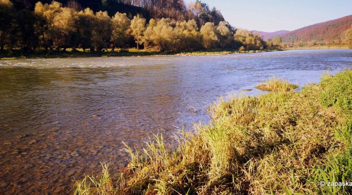 Meandry życia, meandry Sanu