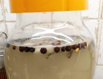 Zakwas na żurek z płatków owsianych czyli kisyłycia